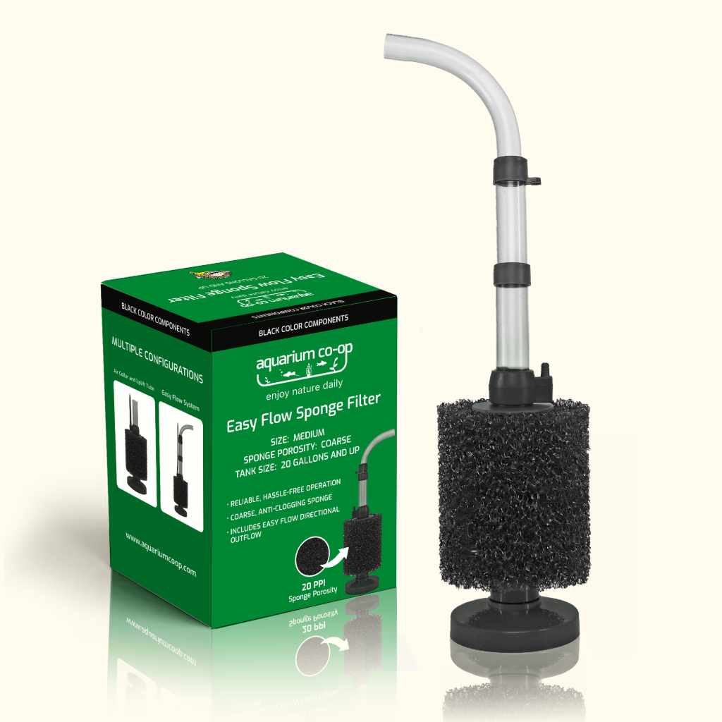 Filter Aquarium